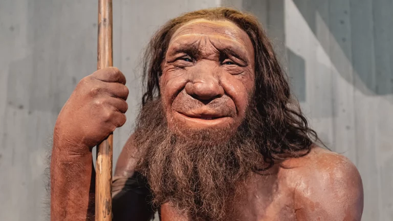 Неандертальцы оказались продвинутыми химиками. Это показал анализ древнего дегтя
