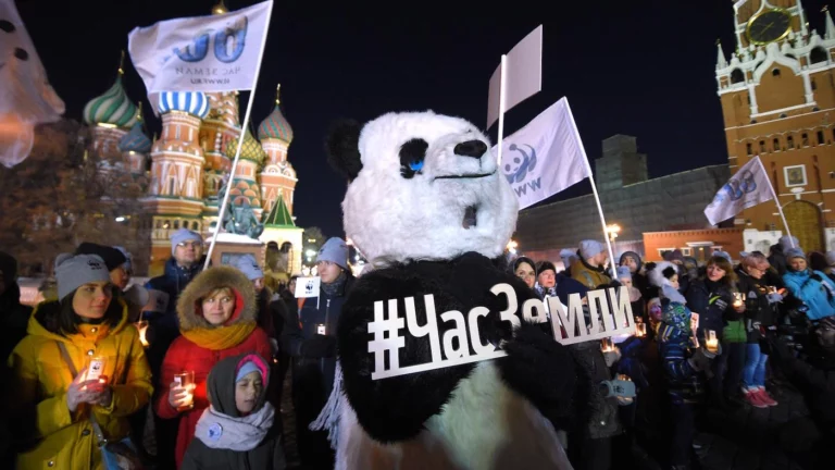 WWF России* отказался от логотипа с пандой после признания международного фонда нежелательной организацией