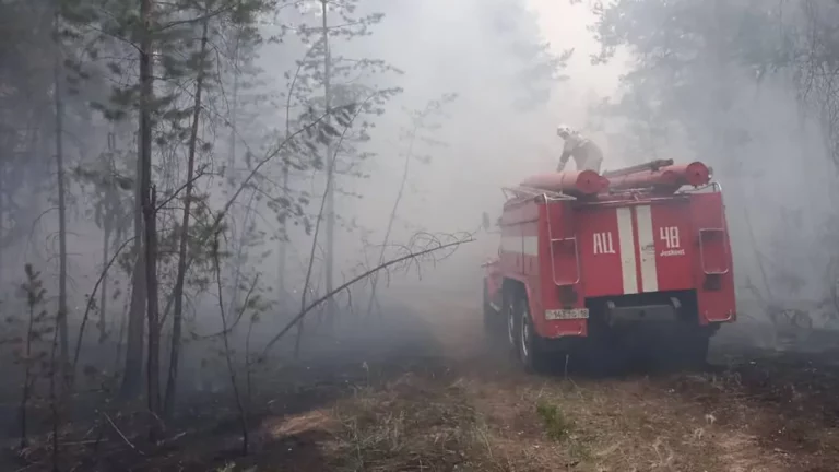 Лесные пожары в Казахстане: 14 человек погибли, Токаев уволил главу МЧС