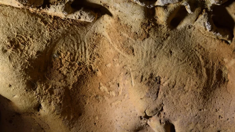 Во Франции найдены древнейшие «рисунки» неандертальцев