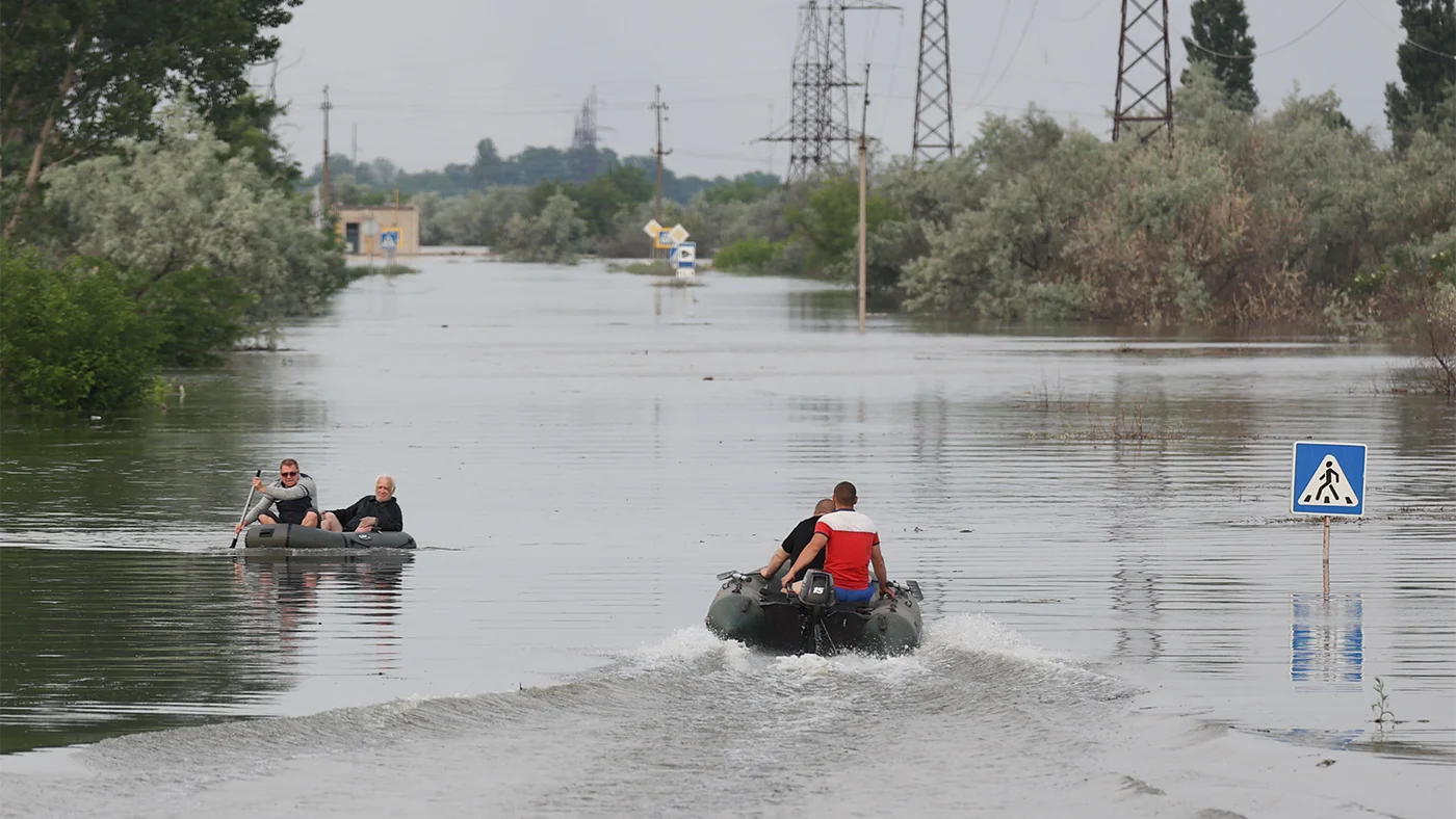 Дно Каховского водохранилища за год превратилось в настоящий вербовый лес