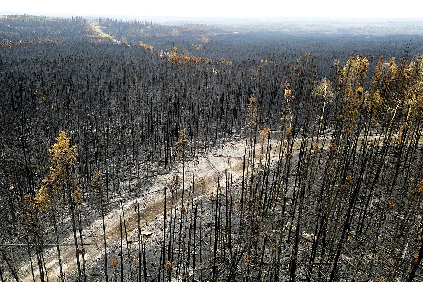 Лесной пожар в Канаде. Фото дня