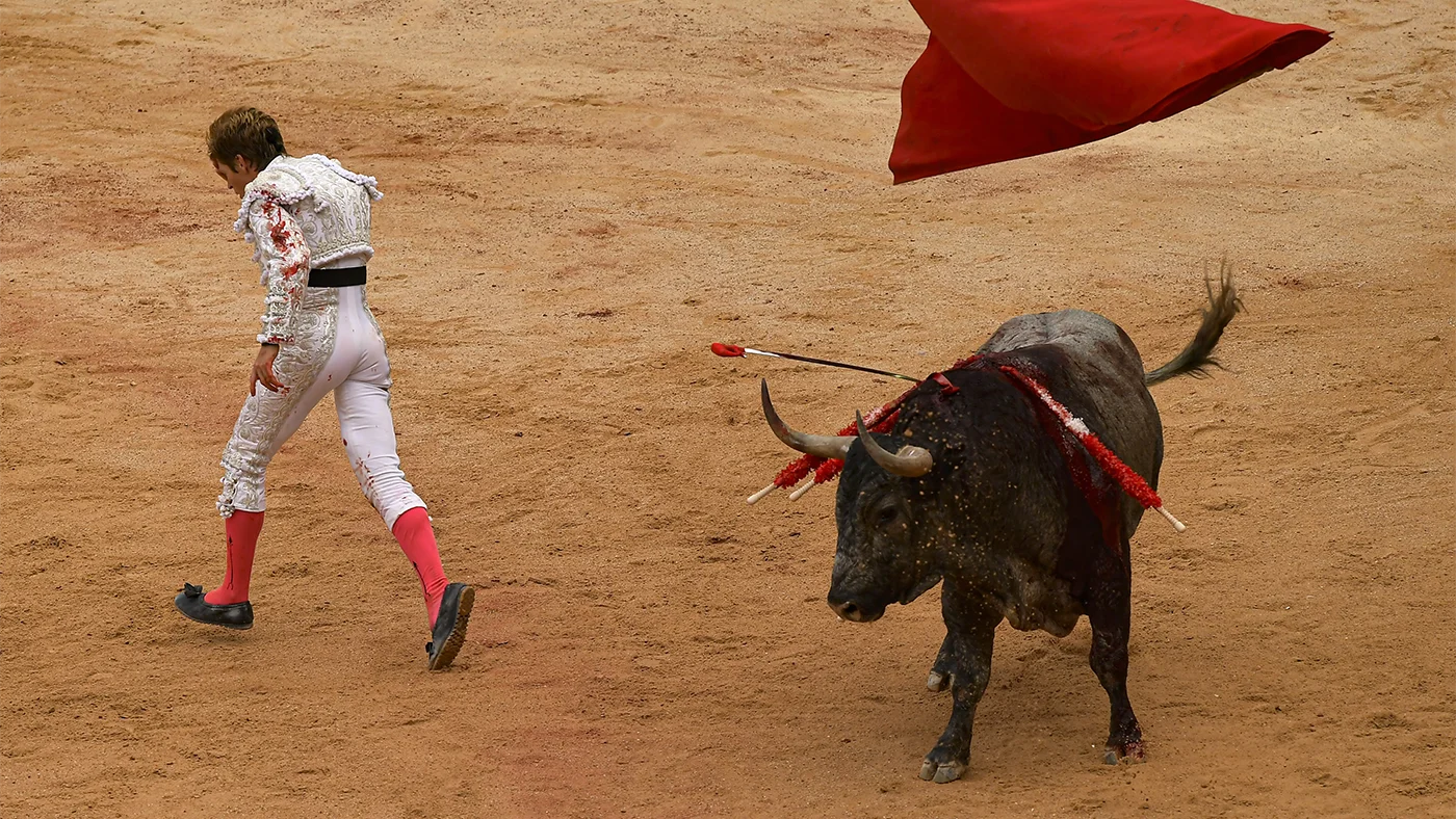 Быки, веселье и кровь. Как в Испании проходит фестиваль «Сан-Фермин»