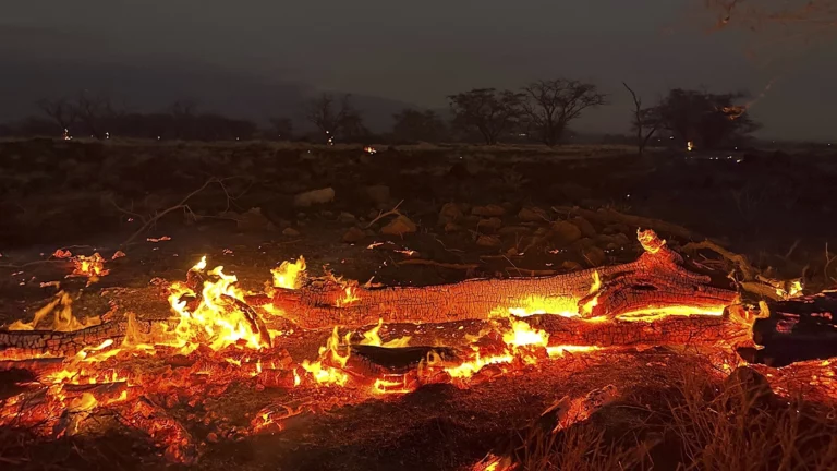 На Гавайях из-за лесных пожаров погибли 36 человек. Полностью сгорел популярный курорт Лахайна