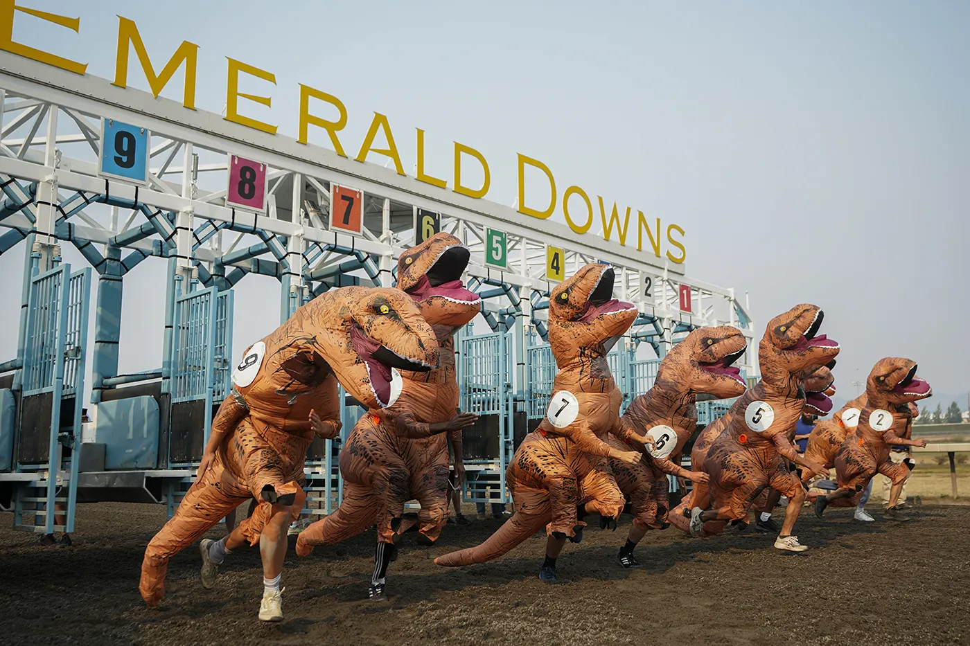 Чемпионат мира по гонкам в костюмах тираннозавров. Фотогалерея