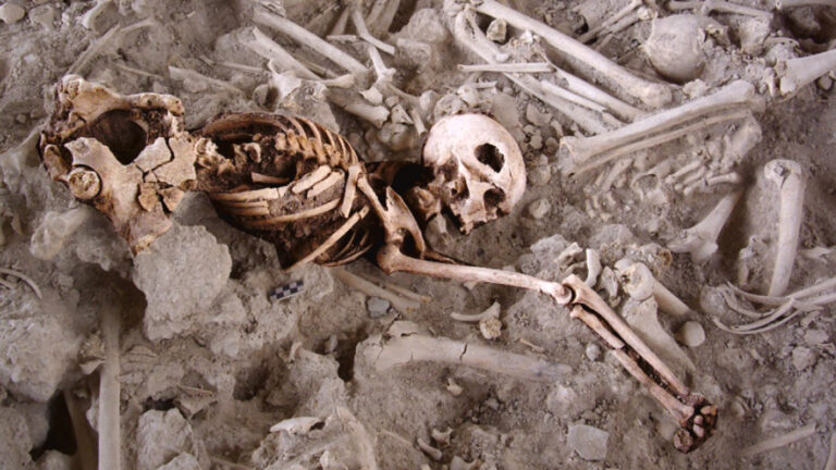 В Испании нашли скелет женщины медного века, пережившей две трепанации черепа