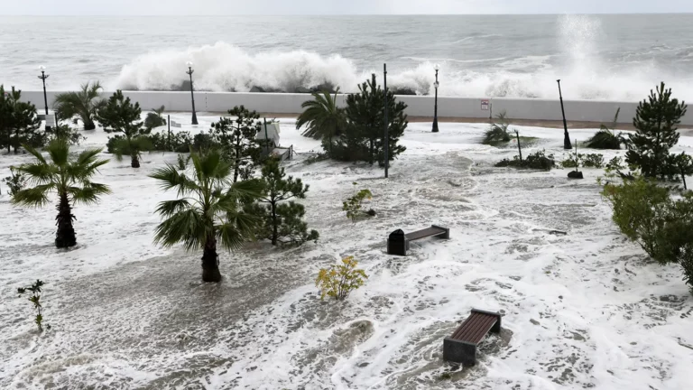 Синоптик предупредил о новом циклоне с сильным ветром на Кубани и в Крыму