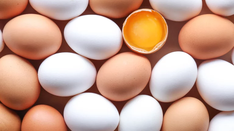 ФАС завела дело на производителей яиц из-за роста цен