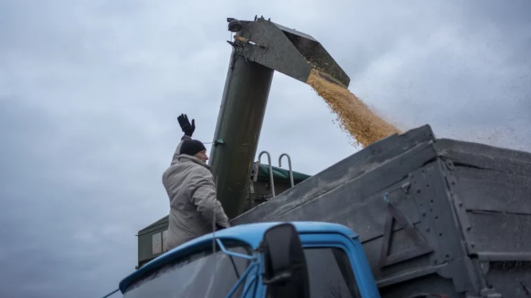 Зерно плывет и едет: как Украина вывозит свою сельхозпродукцию после срыва сделки