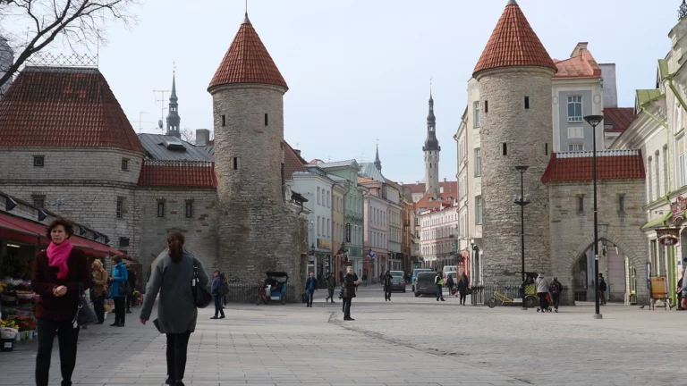 Власти Эстонии пригрозили депортацией за получение российского гражданства