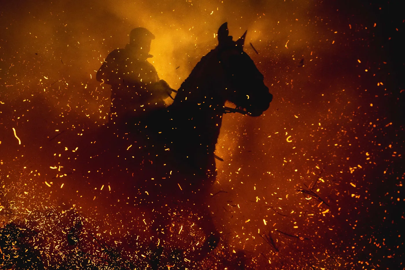 Ежегодный фестиваль Las Luminarias накануне Дня святого Антония. Фотогалерея