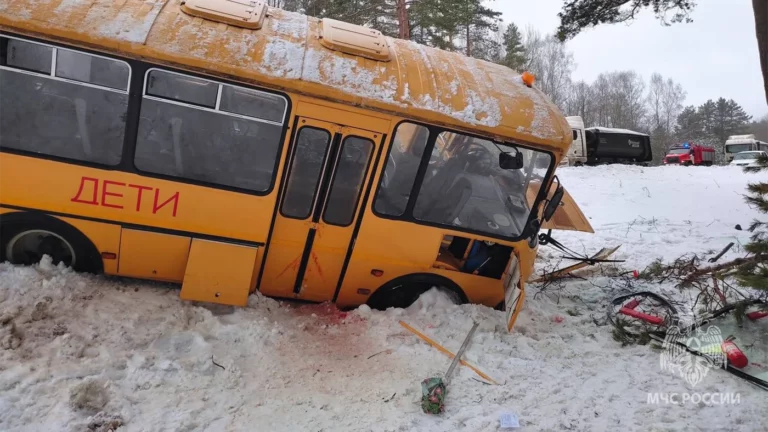 Автобус с детьми съехал в кювет под Псковом, есть пострадавшие