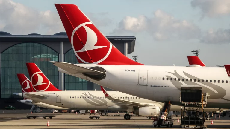 «Проблема серьезная». Россиян призвали отказаться от услуг крупнейшей авиакомпании Турции