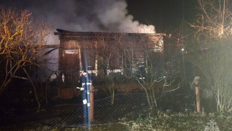При пожаре в Подмосковье погибли шесть человек, четверо из них дети