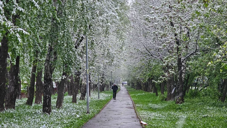 Будет ли еще снег в мае и когда ждать потепления? Синоптик — о погоде в Москве