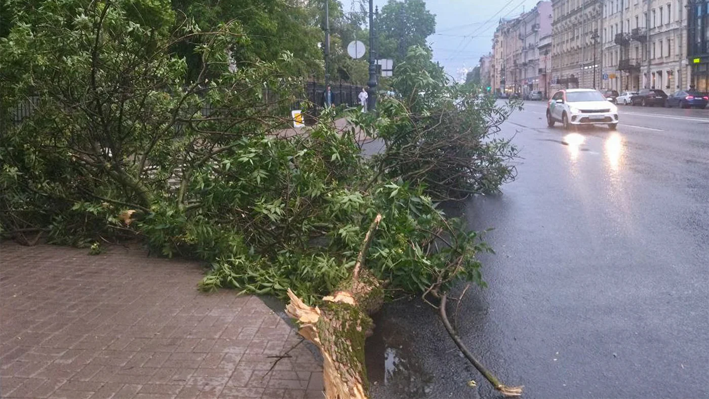 Число жертв урагана в Петербурге и Ленобласти увеличилось