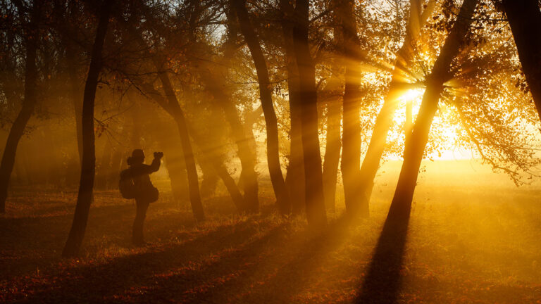 Зачем нужно учиться фотографировать пейзажи? Отвечает основатель Nature Photo Camp