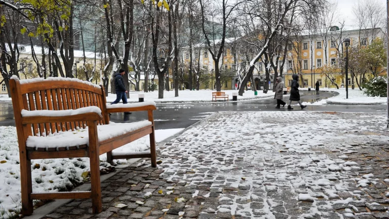 Предвестник потепления: погода в Москве до конца недели 10 ноября