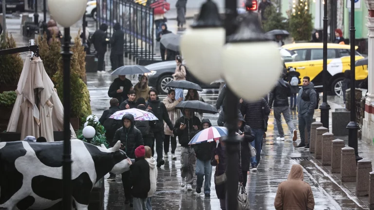 «Предзимье»: какой будет погода в Москве 4-10 ноября