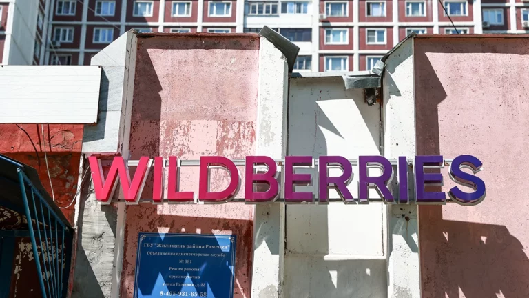 В Wildberries прокомментировали планы Бакальчука снять фильм о маркетплейсе