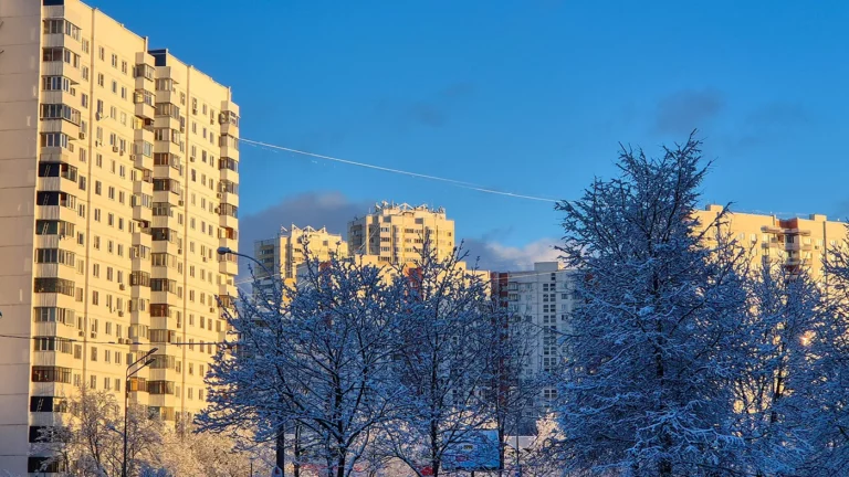 Москве грозит мощное арктическое вторжение в середине января