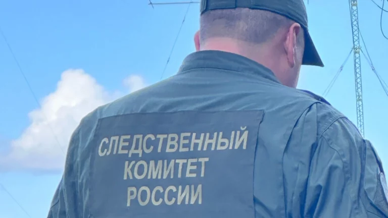 Смешал гашиш с виски: напавший на ребенка в Шереметьево мужчина дал показания