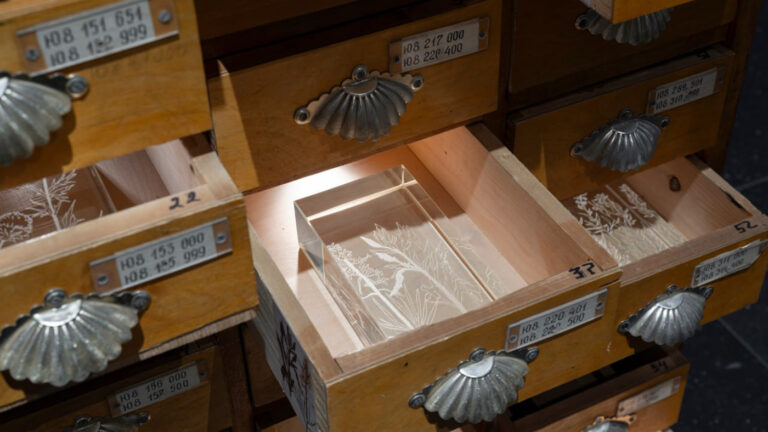 Из проекта «Тайная жизнь» 2025