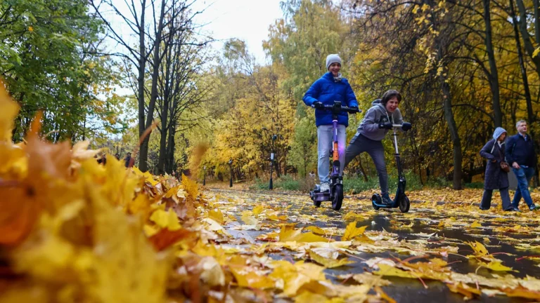Тепло, заморозки или снег: к какой погоде готовиться Москве и Подмосковью