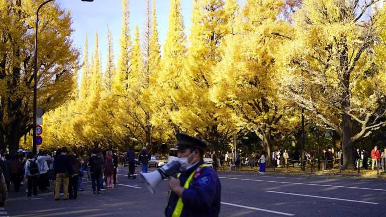 Россияне выстроились в очереди за визой в Японию. Как ее получить в 2025 году
