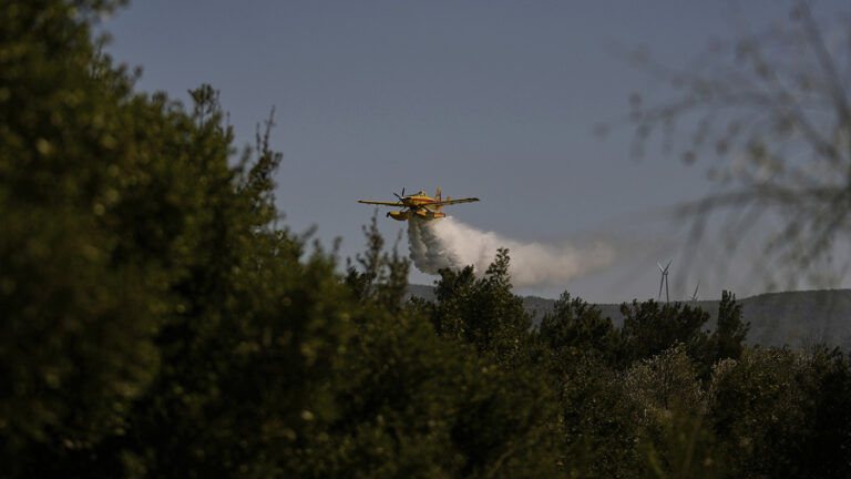 «Самые невозмутимые»: россиян эвакуировали из турецких отелей из-за лесных пожаров, но они вернулись