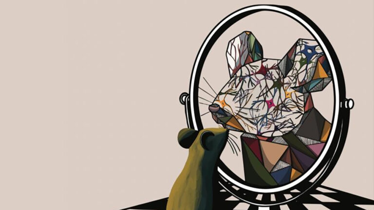 Биологи научили компьютер читать мысли мышей по выражению их мордочек