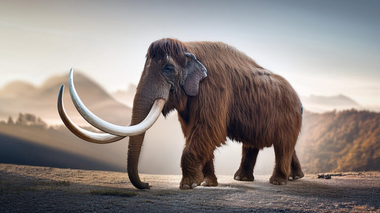 «Ударят похлеще ковида»: в РАН рассказали об опасности бактерий из костей мамонтов