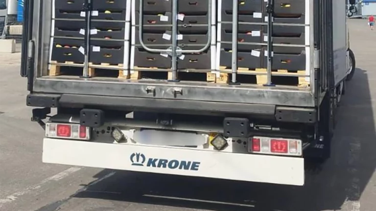 В Россию из Молдовы под видом яблок пытались ввезти гашиш и метадон