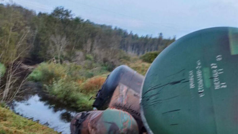 В Ленинградской области произошло второе за сутки ЧП на путях, есть погибший