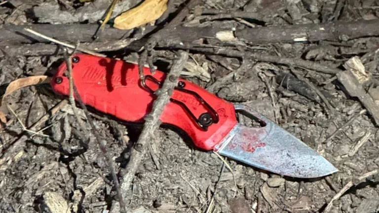 Тела с ножевыми ранениями нашли в двух разных парках Москвы