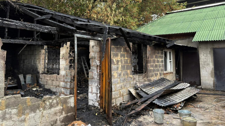 При пожаре в московском приюте погибли 13 собак