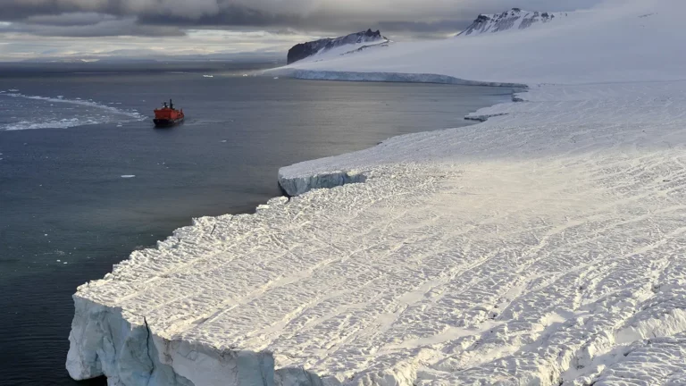 «И в Арктике можем работать»: Путин высказался о сотрудничестве с США