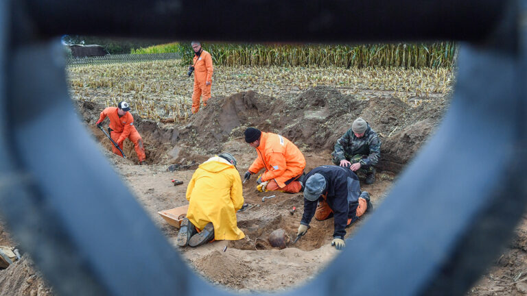 «Поддерживают друг друга»: поисковые отряды ФРГ и России продолжают сотрудничать