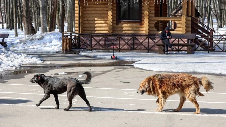 Архивное фото