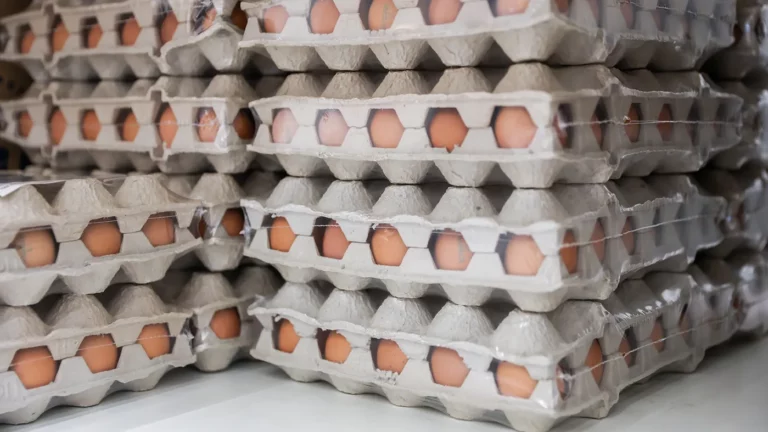 Архивное фото