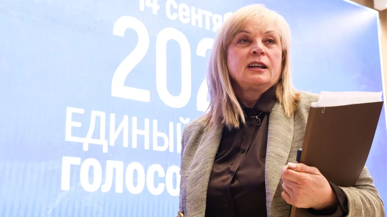 Глава ЦИК Памфилова назвала интернет «недружественной нам паутиной»