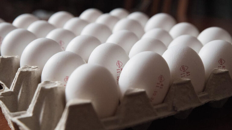 Россельхознадзор опроверг первую поставку куриных яиц в США с 1992 года