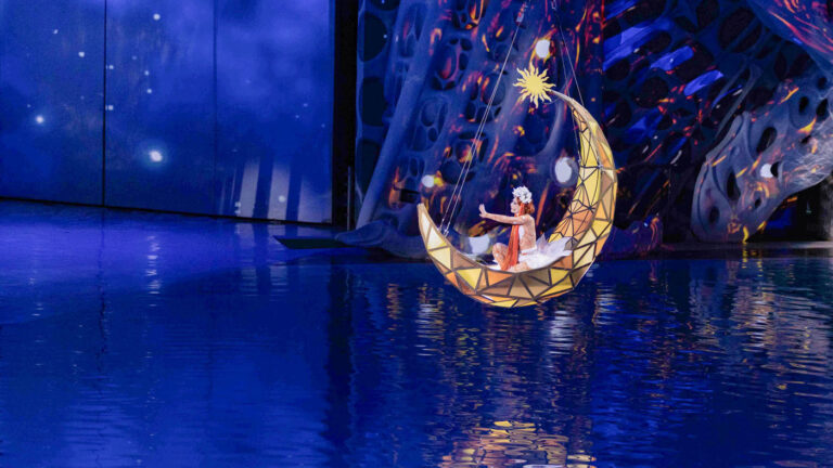 От Шекспира до морских котиков: как в «Москвариуме» работают с животными-актерами и создают водные шоу