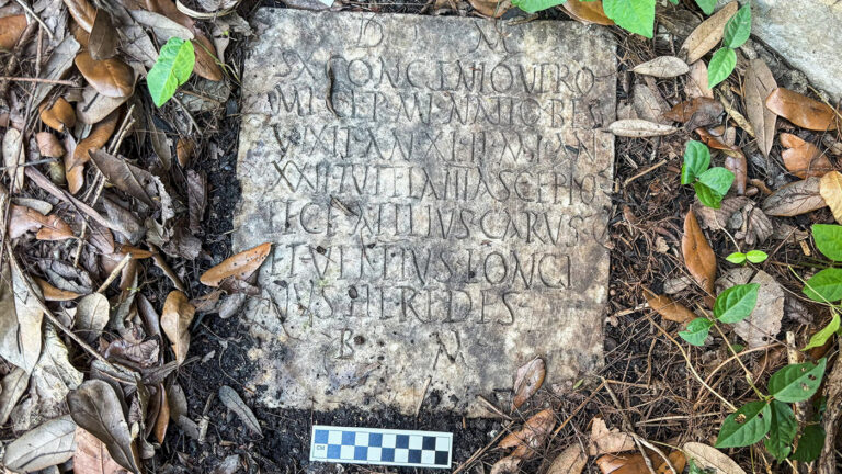 Американцы нашли древнеримское надгробие у себя во дворе: оно пропало из музея в Италии