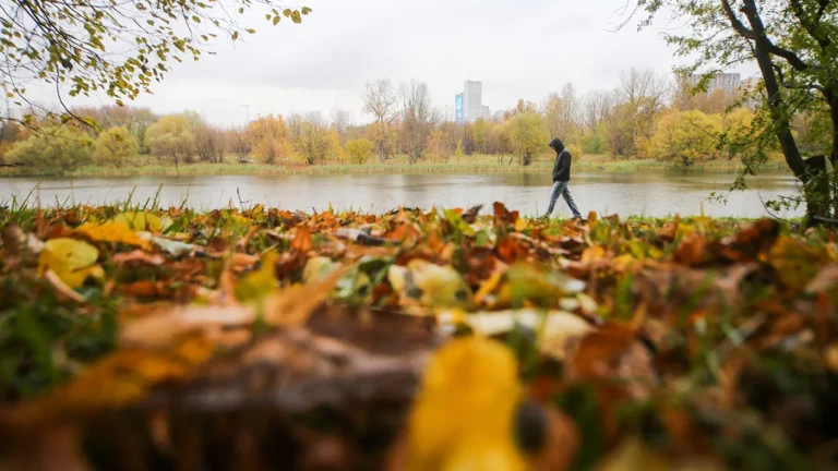 Погодные качели: каким будет начало октября в Москве