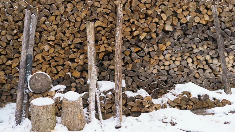 Что делали на Руси в ноябре