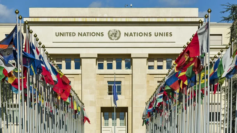 ООН уличили в использовании ИИ при написании пресс-релизов