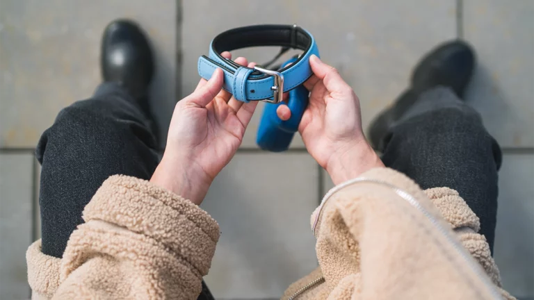 Люди увлеклись хоббидоггингом: что это вообще такое