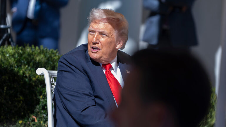 «Как ребенок в песочнице»: в Госдуме объяснили решение Трампа не встречаться с Путиным