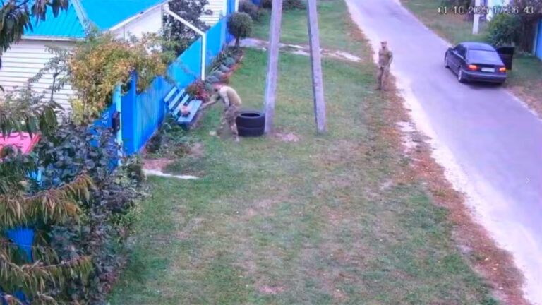 Киев объяснил «мобилизацию» кота в украинском селе